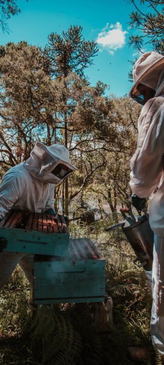 Man Holding Beehive